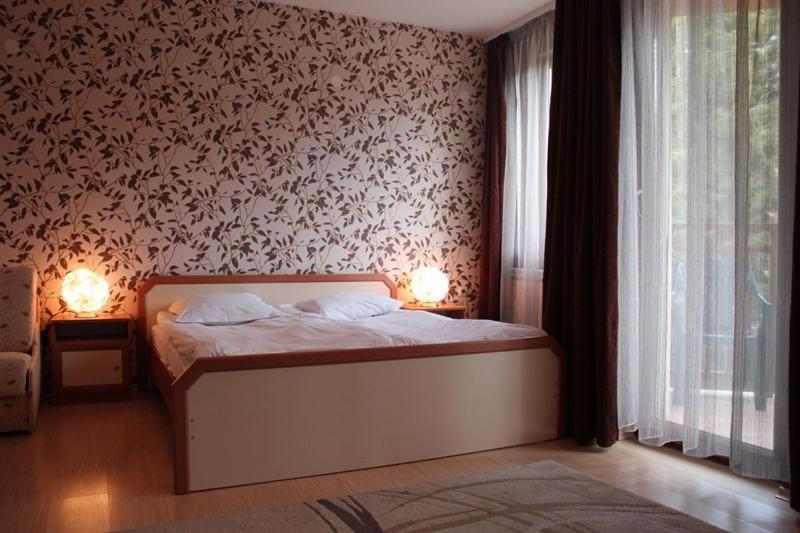 Iceberg Hotel Borowec Zewnętrze zdjęcie
